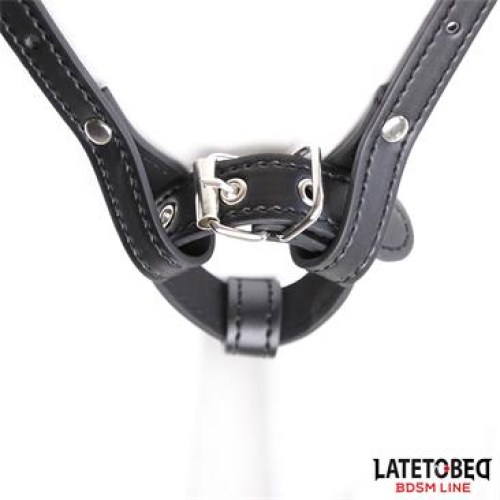 4-harness-belt-adjustable